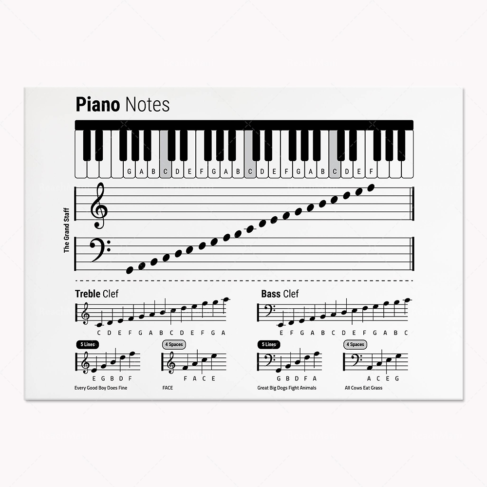 Gitarrentheorie, Klavier, Audi – Audio To Music Sheet Bewertung und Preis